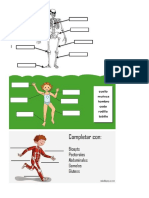 2p Partes Esqueleto, Musculos y Articulaciones