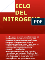 Ciclo Del Nitrogeno