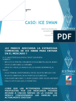 Caso Ice Swan