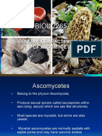 BIOL 2265-The Ascomycetes