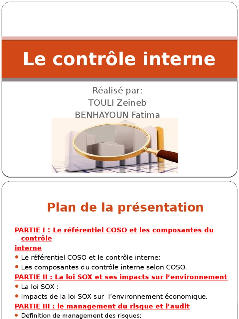 Le Contrôle Interne | PDF | Contrôle interne | Gestion des risques
