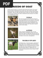 Breeds of Goat