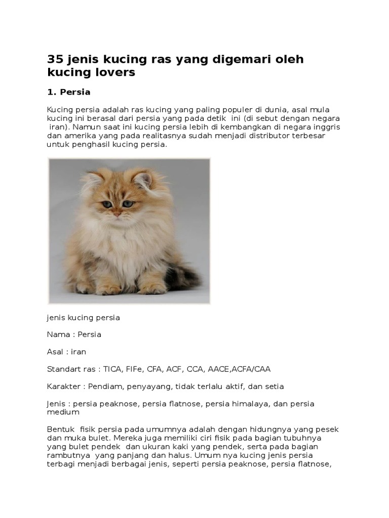 35 Jenis Kucing Ras Yang Digemari Oleh Kucing  PDF