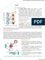 Acciones Sistema Inmune