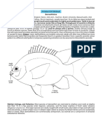 Pomacentridae PDF