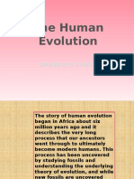 The Human Evolution: Darwin'S Theory