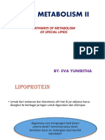 Lipid Metabolism Ii 2016 PDF