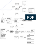 Mapa Conceptual