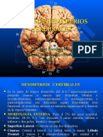 15556964-2da-Clase-Neuro-Hemisferios-Areas-Dr-Enriquez.ppt