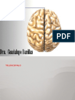 319911088-Cerebro-PDF.pdf