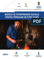 Modele-de-intreprinderi-sociale-pentru-persoane-de-etnie-roma.pdf