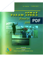 BUK - Asmat Dalam Angka 2009 PDF