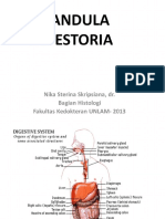 Kuliah Glandula Digestoria PSPD 2013