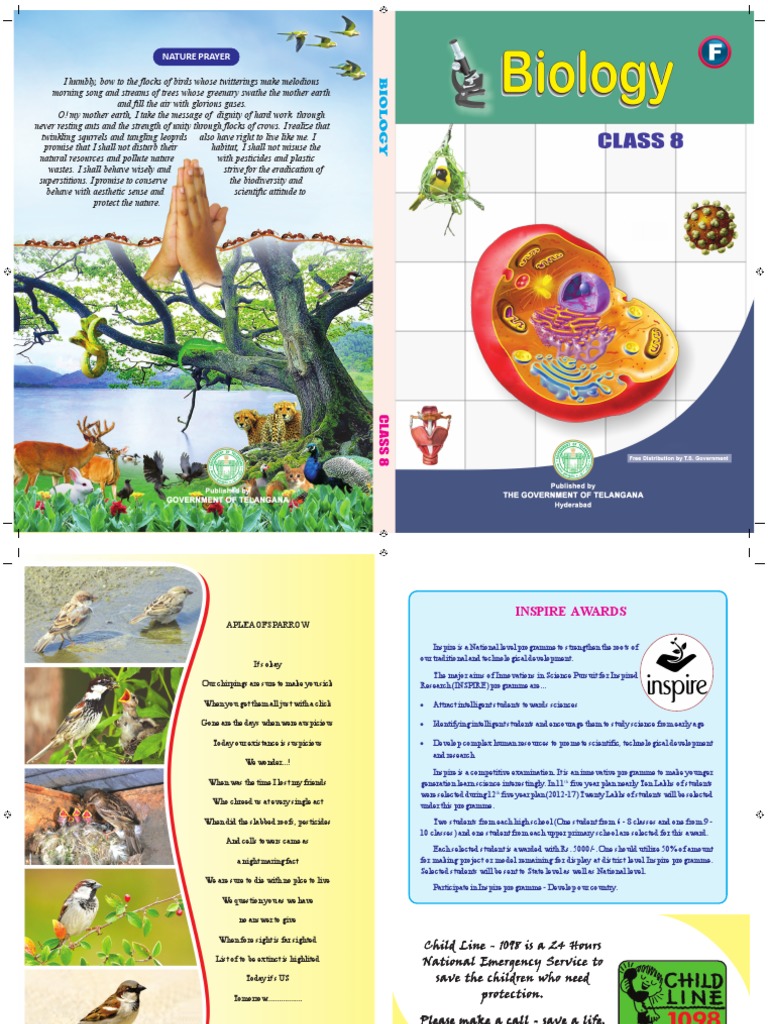 8em Bio | PDF | Scientific Method | Experiment