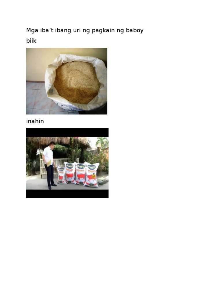 Mga Pagkain Ng Baboy Pdf