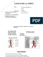 patologias de ao y ivc