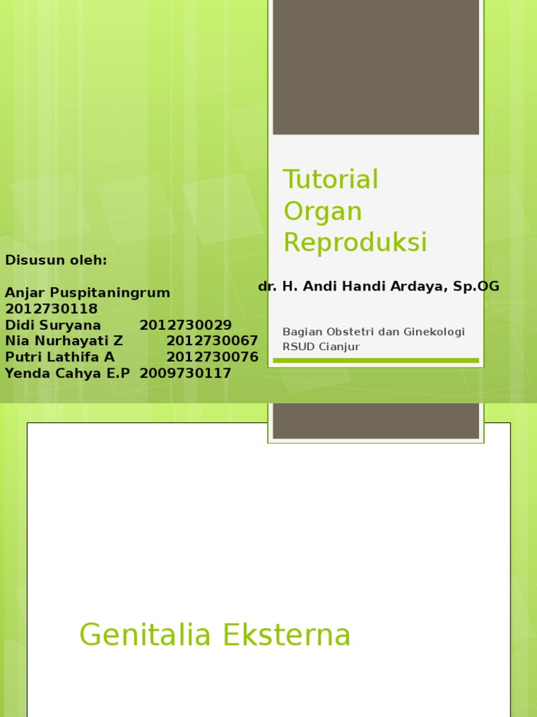 Tutorial Organ Reproduksi Wanita | PDF