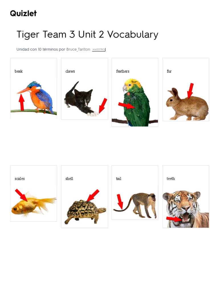 Tiger 3 Unit 5 Quizlet