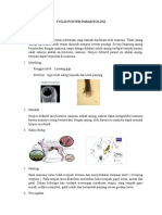 Tugas Poster Parasitologi