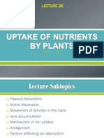 Uptake of Nutrients by Plants