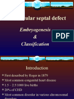 Ventricular Septal Defect: Embryogenesis & Classification