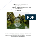 13. Desarrollo de Actitudes, Habilidades y Estrategias