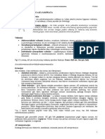 Asocialaus Elgesio Psichologija | PDF