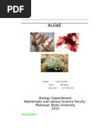 Download Kinds of Algae by Irma Erviana SN33106779 doc pdf
