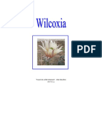 Wilcoxia