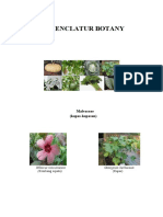 Download Plant Taxonomy by Irma Erviana SN33107151 doc pdf