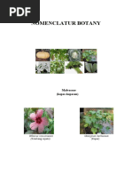 Download Plant Taxonomy by Irma Erviana SN33107151 doc pdf