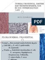Flora Normal Urogenital, Bakteri Penyebab Uretritis Spesifik, Non Spesifik Dan Isk
