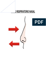 Modo Respiratorio Nasal