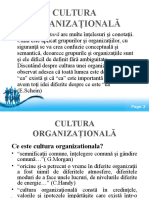 Cultura Organizationala