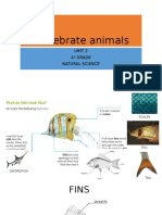 Vertebrate Animals: Unit 2 4º Grade Natural Science