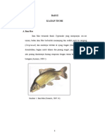 BAB 2 Ikan Mas PDF