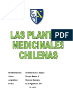 Plantas medicinales 120316