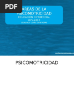 AREAS+DE+LA+PSICOMOTRICIDAD.pptx