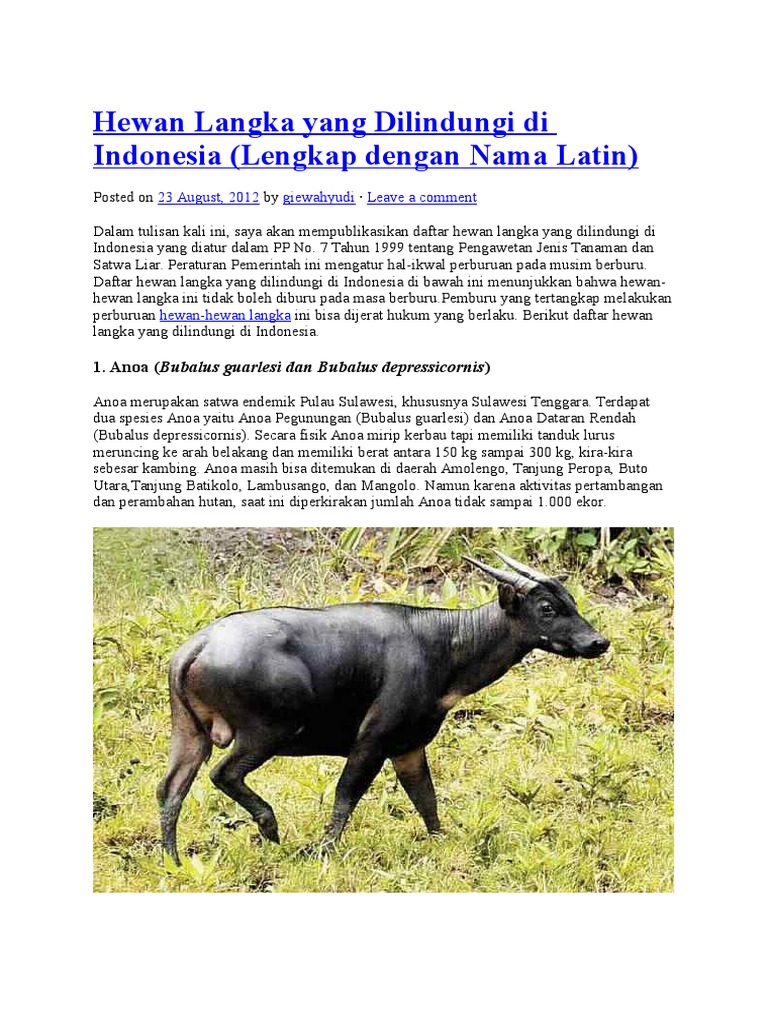 9200 Koleksi Nama Dan Gambar Hewan Yang Dilindungi Di Indonesia Gratis