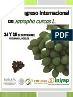 1er Congreso Internacional de Jatropha Curcas L