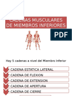 Cadenas Musculares de Miembros Inferiores