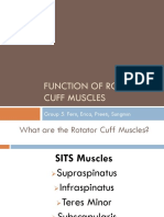 Function of Rotator Cuff Muscles Updated