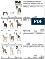 razas-perros.pdf