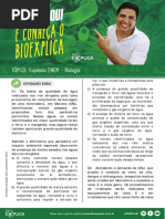 Hipnose De Impacto Pdf
