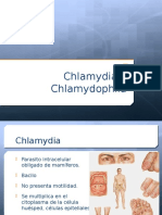 Chlamydia