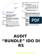 Audit Bundle Ido