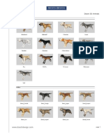 D3D An PDF