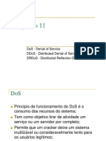 Cap11-DDoS.pdf