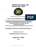 Avance de Informe Richard PPP