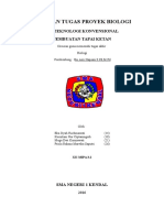 Bioteknologi Konvensional Pembuatan Tape Ketan